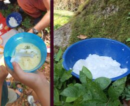 Schwimmende Insel mit Schafgarbenblütencreme